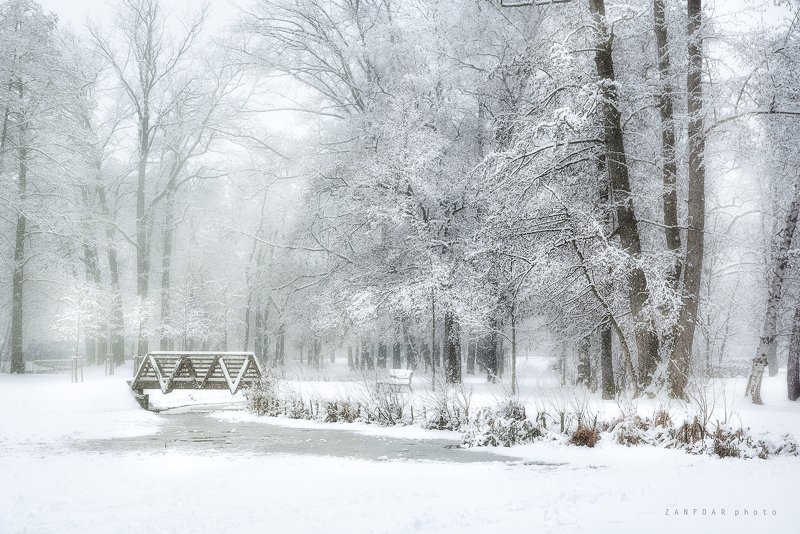 чехия Снег и туманphoto preview