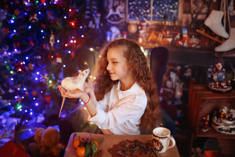 новый год год крысы рождество Символ годаphoto preview