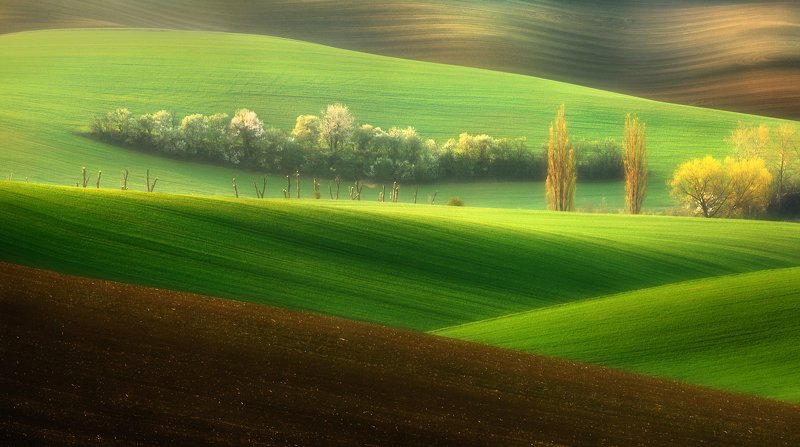 Brothers...photo preview