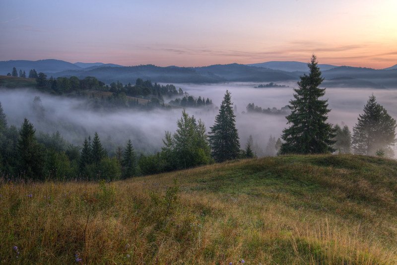 горы,карпаты,туман,утро,зори,заря Карпатское утроphoto preview