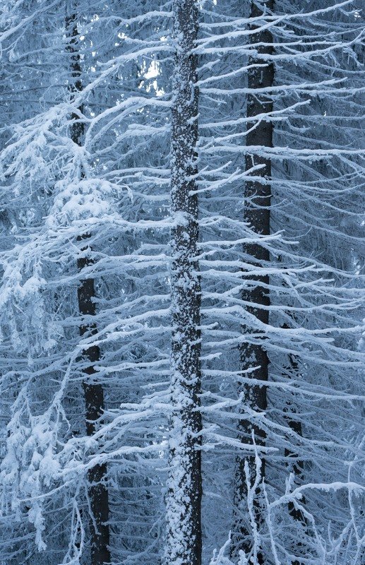 Зимноphoto preview