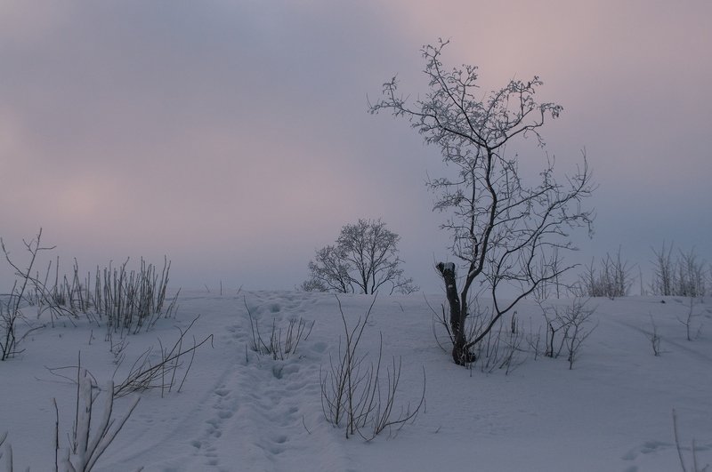 Зимний этюдphoto preview