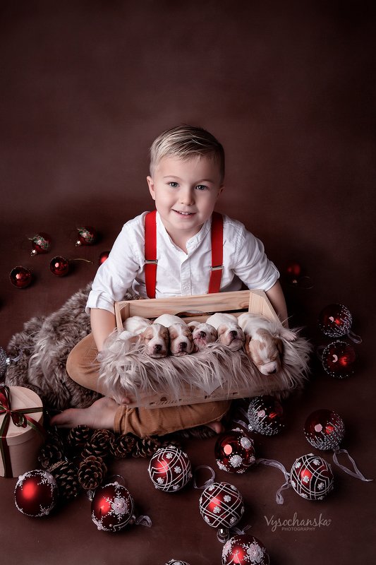 boy, puppies, animals, happy new year Happy Winter Holidays!photo preview