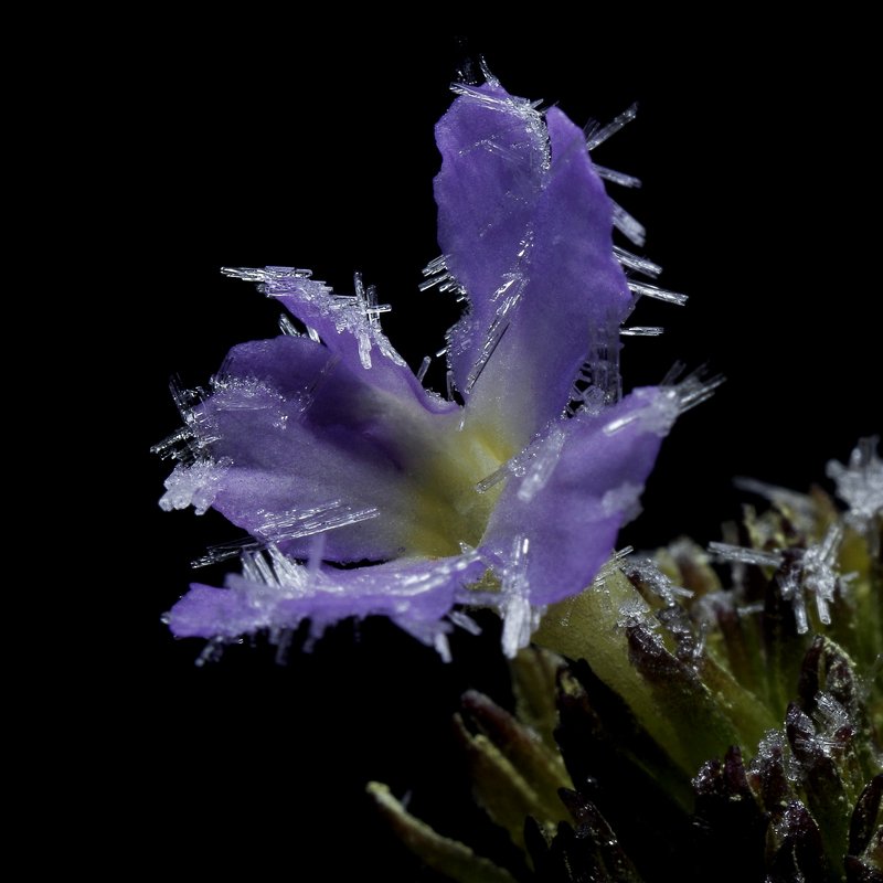 Стойкостьphoto preview