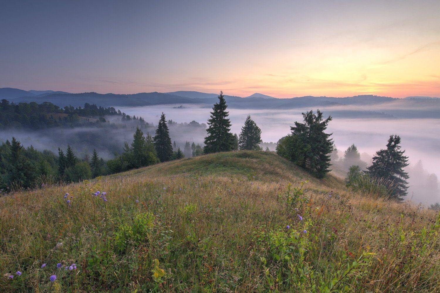 горы,карпаты,туман,утро,зори,заря, Sergii Markov