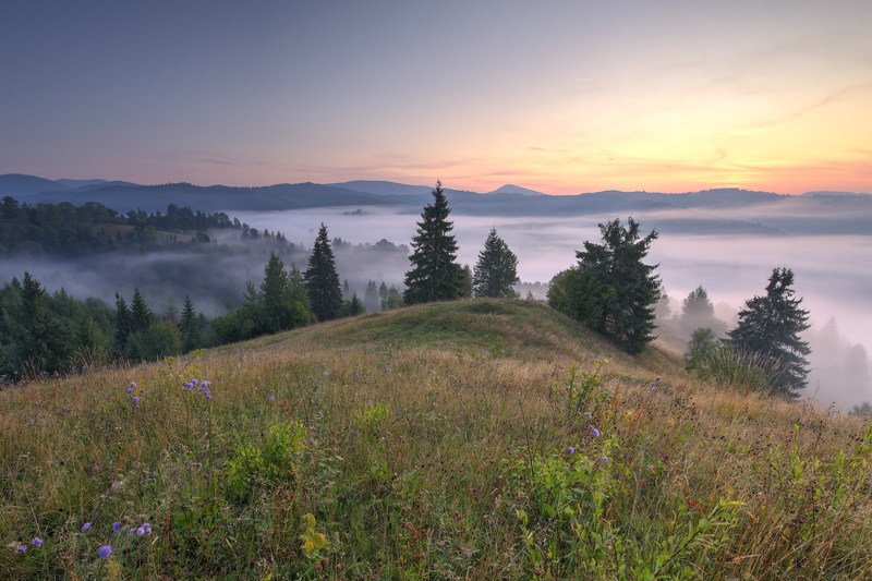 горы,карпаты,туман,утро,зори,заря Карпатыphoto preview