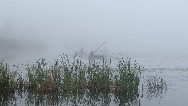 Рыбное местоphoto preview