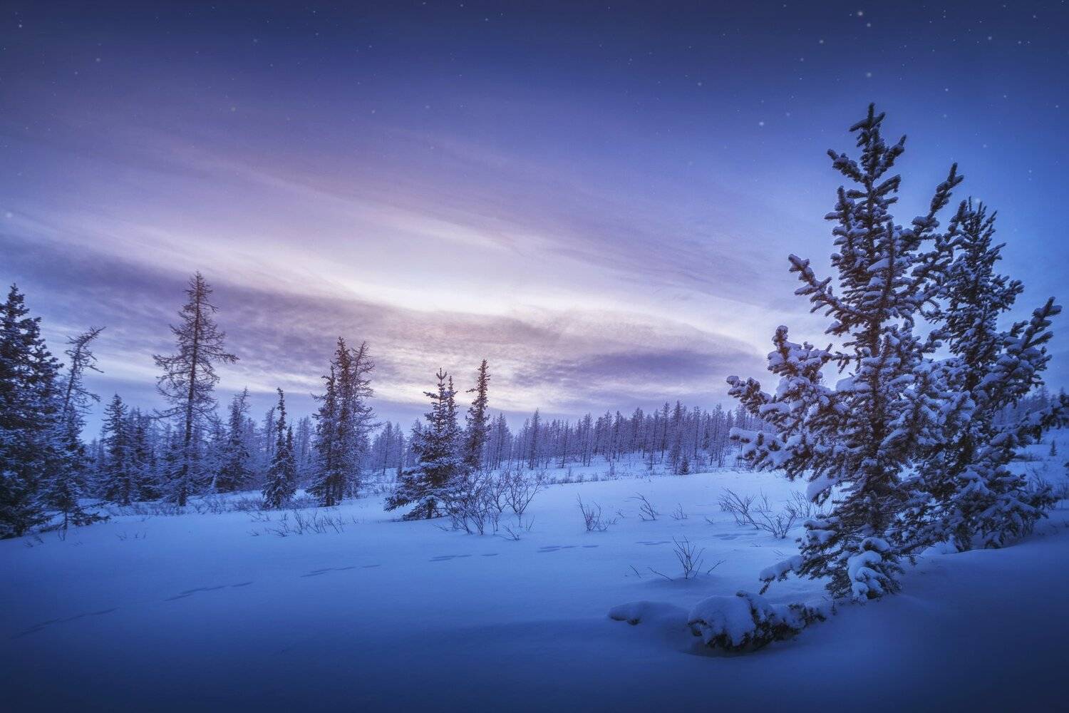 Заячьими тропками. Автор: Шевченко Николай озеро, горы, лес, природа, закат, рассвет, красота, приключения, путешествие, Шевченко Николай