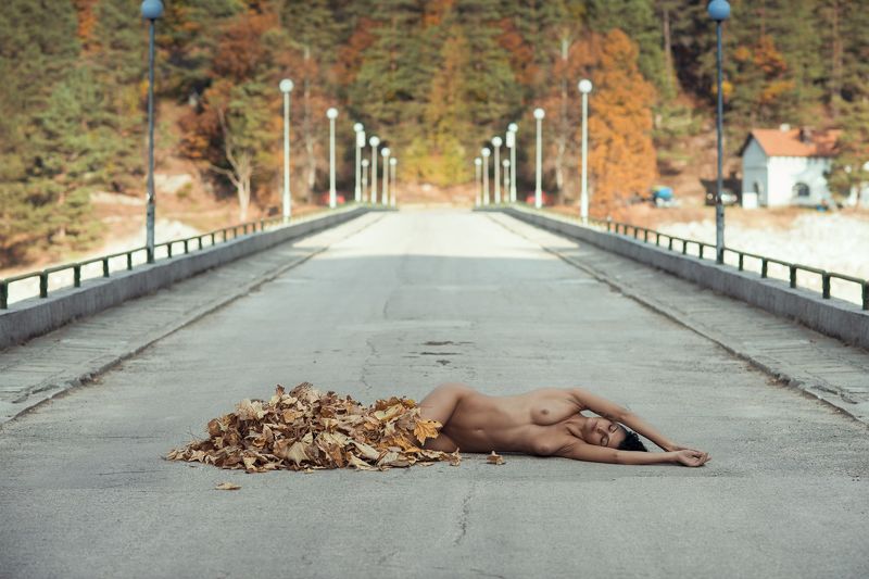 Autumn leafphoto preview