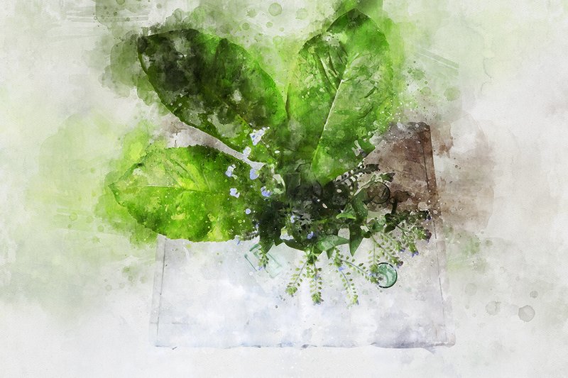 натюрморт арт фото красиво акварель АКВАРЕЛЬ 24photo preview