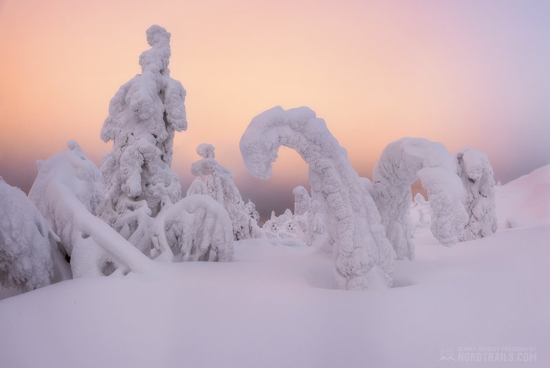 кольский, кольский полуостров, кандалакша, зима, winter, snow, north Новогодняя сказкаphoto preview