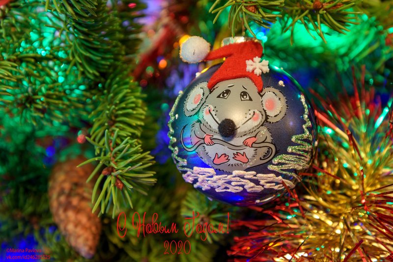 предметы, открытка, новый год С Новым годом! Творческого вдохновения и удачных кадров!photo preview