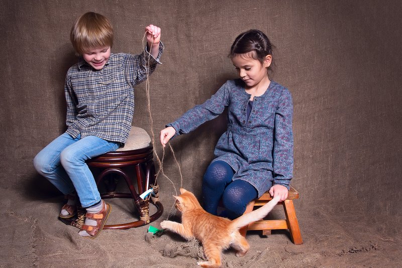 ПРО КОТАphoto preview