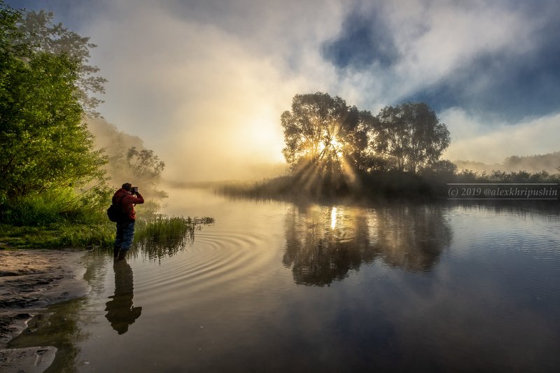morning river water reflections fog mist landscape spring tree sunlight The morning of photographerphoto preview