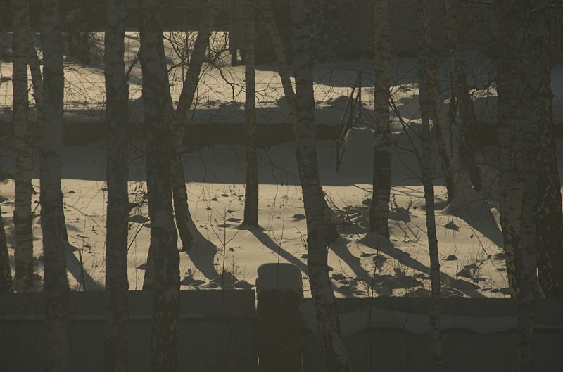 Winter Graphicphoto preview