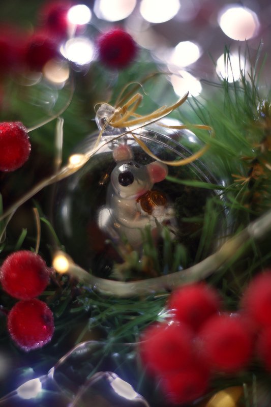 зима новый год 2020 ***photo preview