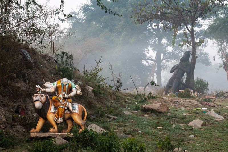 Even the gods are sick these daysphoto preview