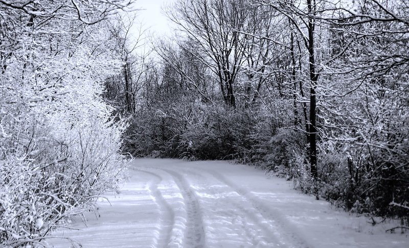 Ура! Зима! Снег выпал...photo preview