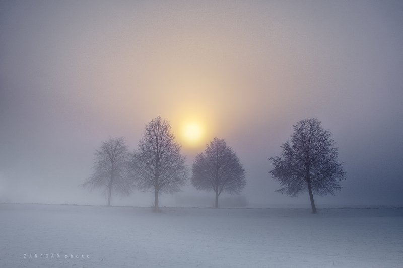 мороз, утро,zanfoar,cech republic,bohemia,moravia,nikon d750,чехия морозное утроphoto preview