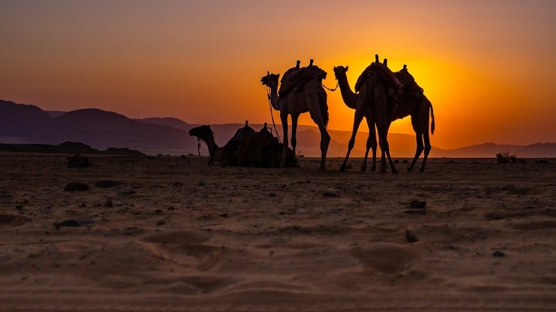 Wschód słońca na pustyni Wadi Rumphoto preview