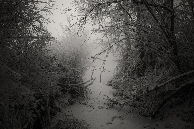 Тропинка в туманную лощинуphoto preview