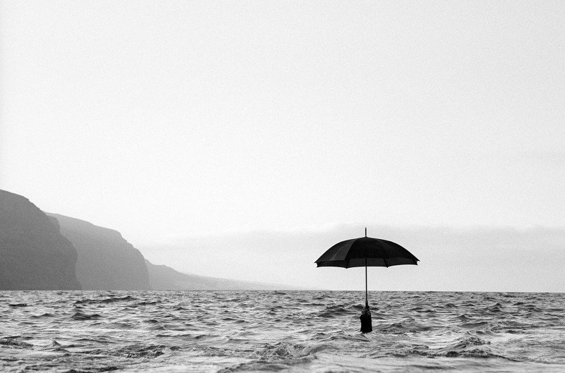 His Arrivalphoto preview