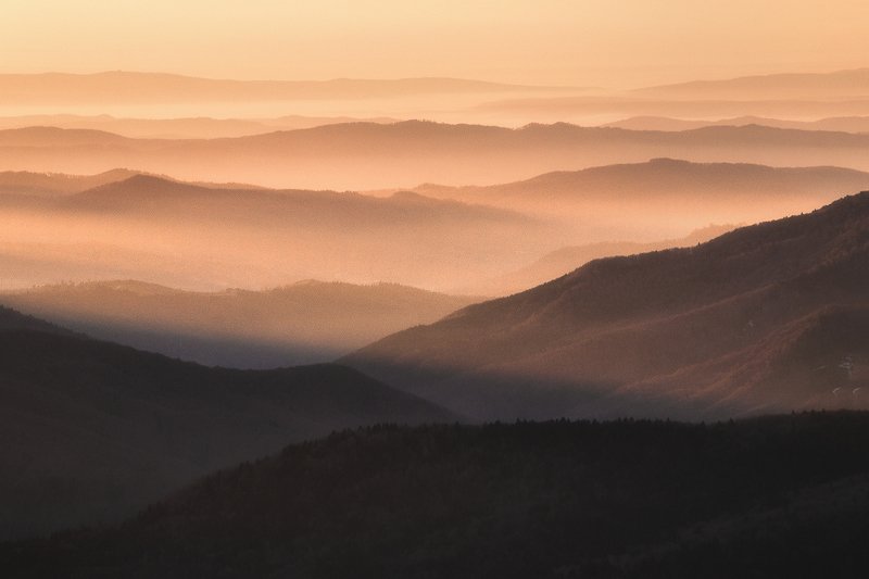 Golden raysphoto preview