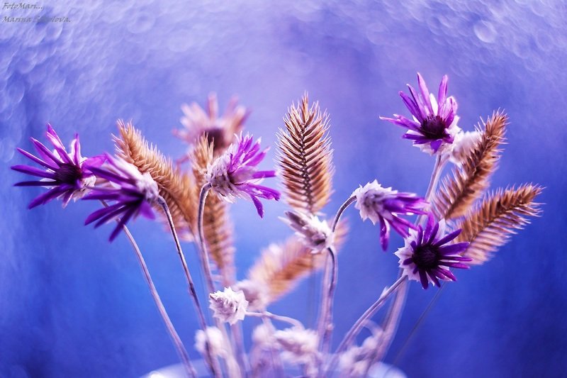 Совсем не зимнее настроение...photo preview