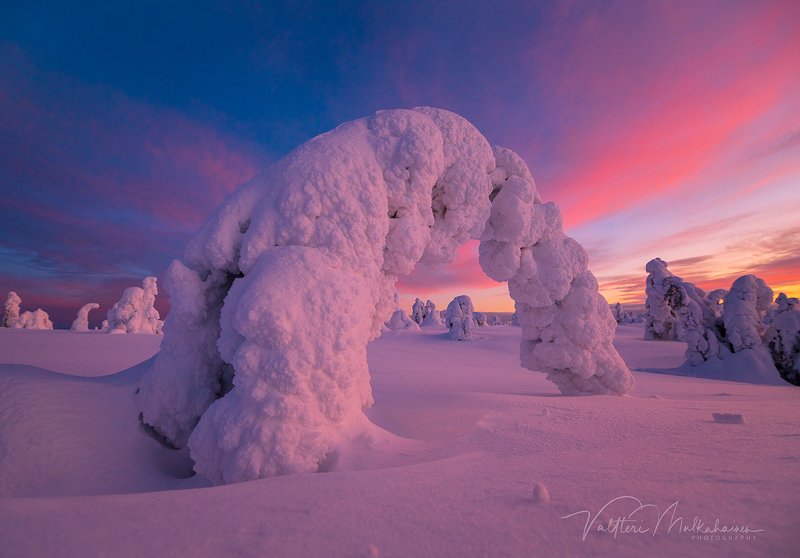 Поклон морозному дню фото превью