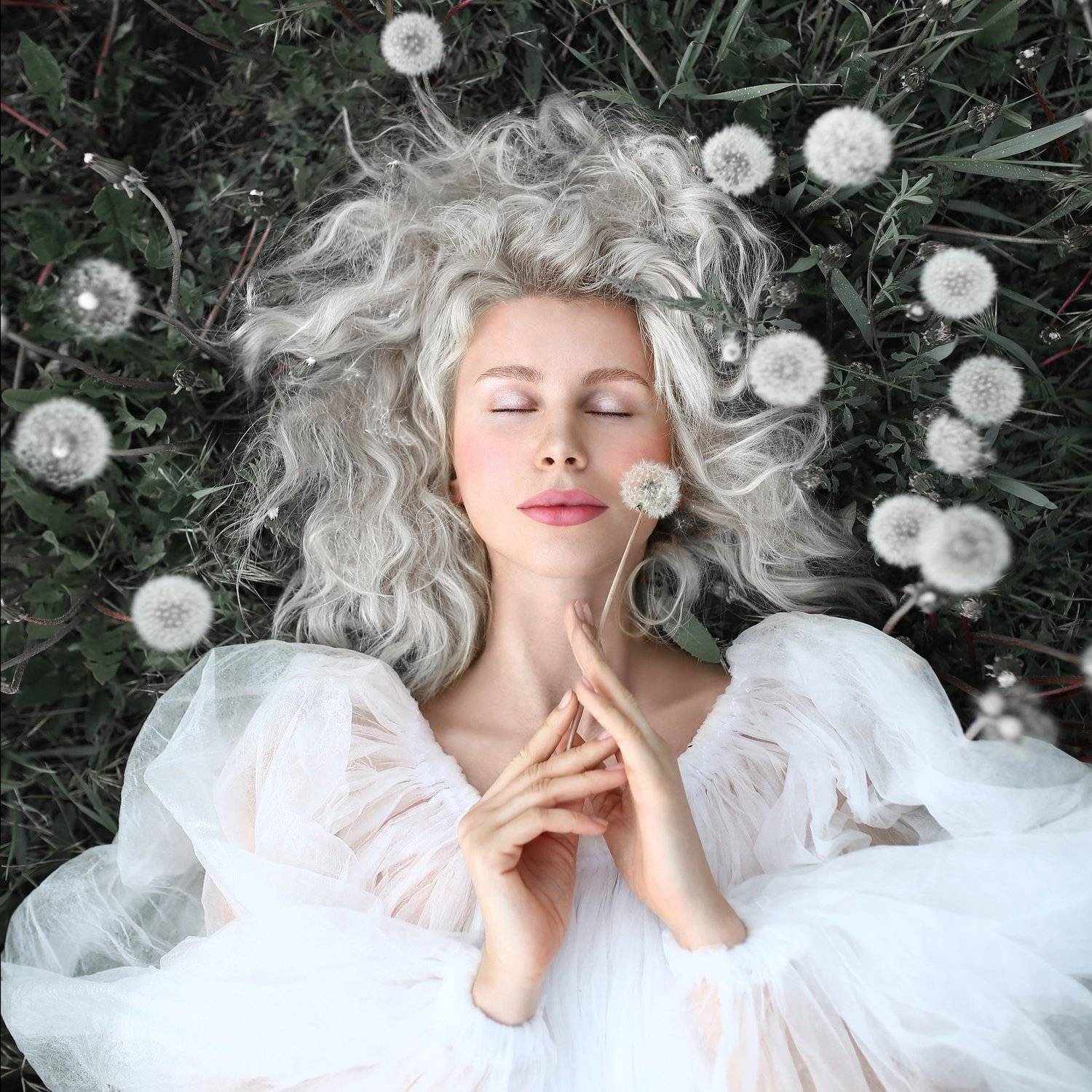 Автор: Ирина Голубятникова блондинка, одуванчики, девушка в одуванчиках, седые волосы, невесомость, Ирина Голубятникова