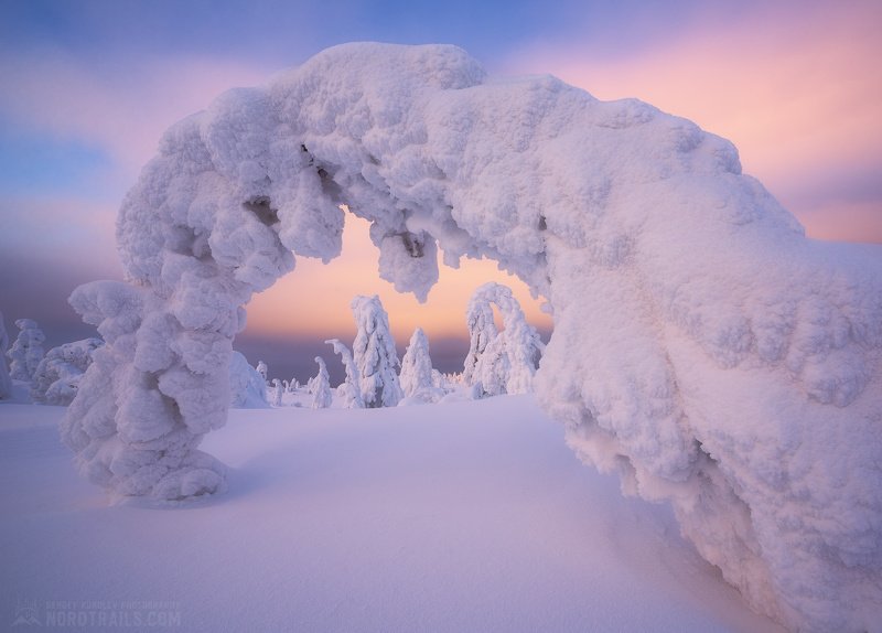 кольский, кольский полуостров, кандалакша, зима, winter, snow, north Зимняя сказка на Кольскомphoto preview