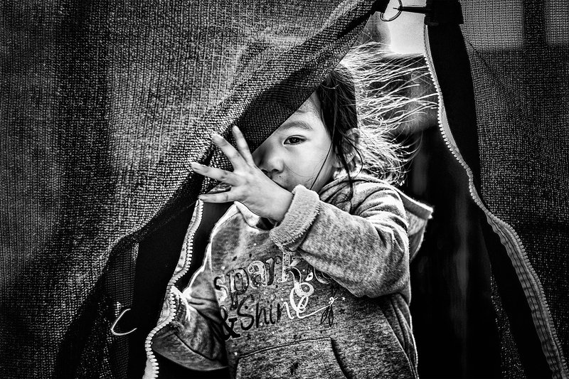 Dorothyphoto preview