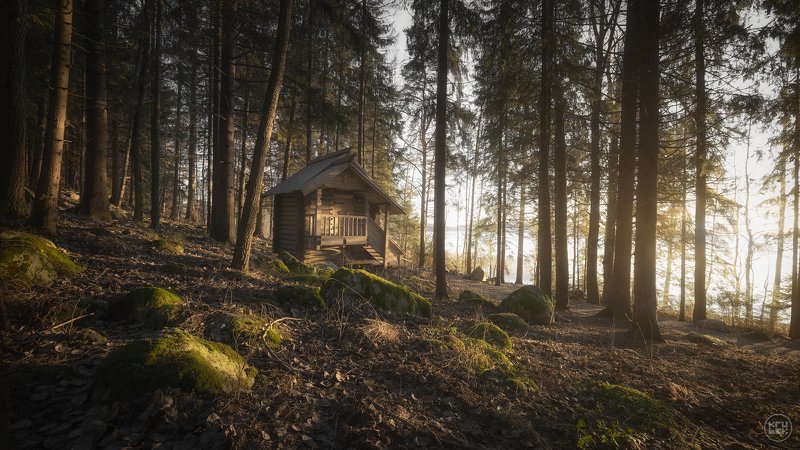 карелия, лес, кирьявалахти Карельские сказкиphoto preview