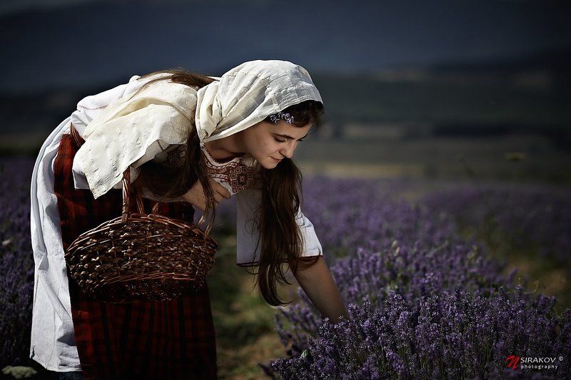 lavender, picker, fields, landscape, portrait, genre, bulgaria, dress, nsirakov Lavender Fieldsphoto preview