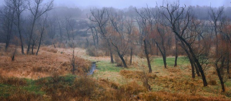 Хмельная балкаphoto preview