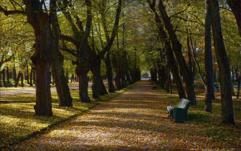 Осень фото превью