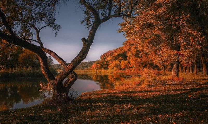 Нарисовать Осеньphoto preview