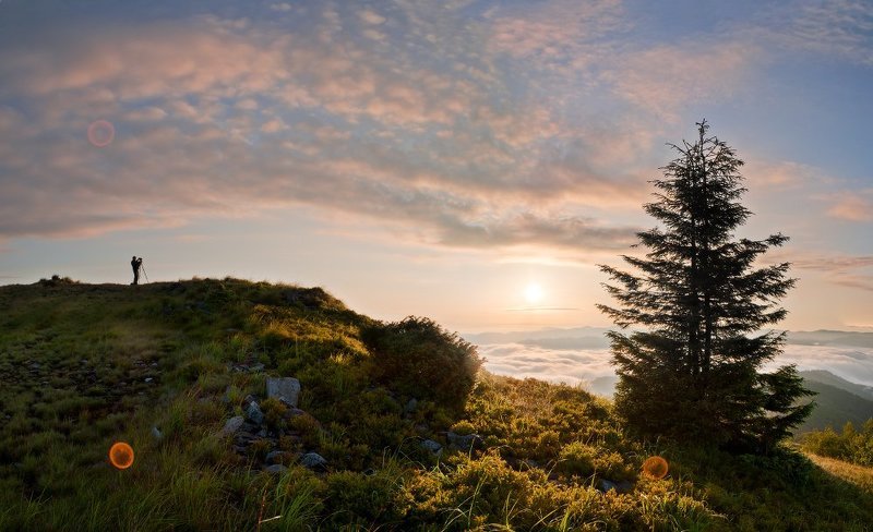 Песня про зайцевphoto preview