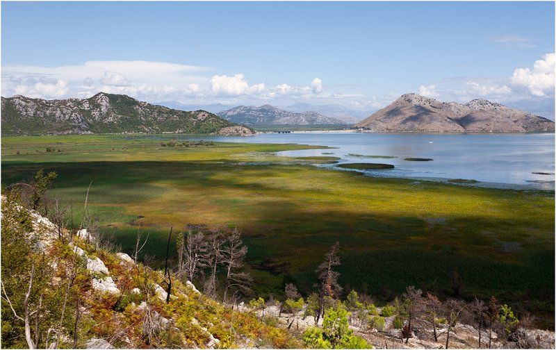 Скадарское озероphoto preview