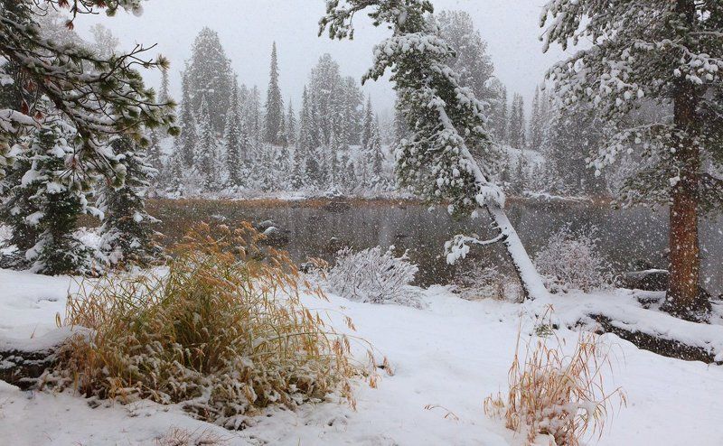 Сибирский сентябрьphoto preview