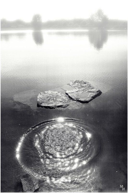 ч/б, негатив, 6х6 Всплескphoto preview