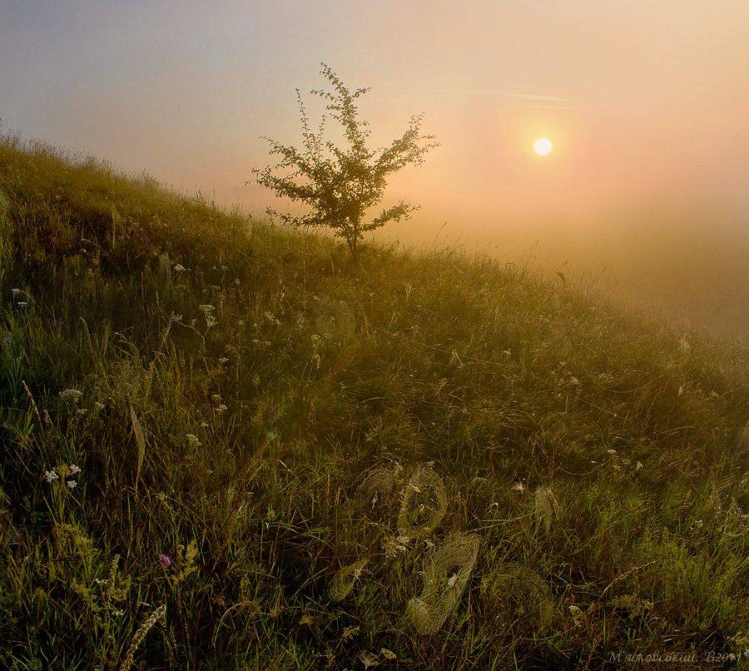 , Wolodymer Mjaskowskuj