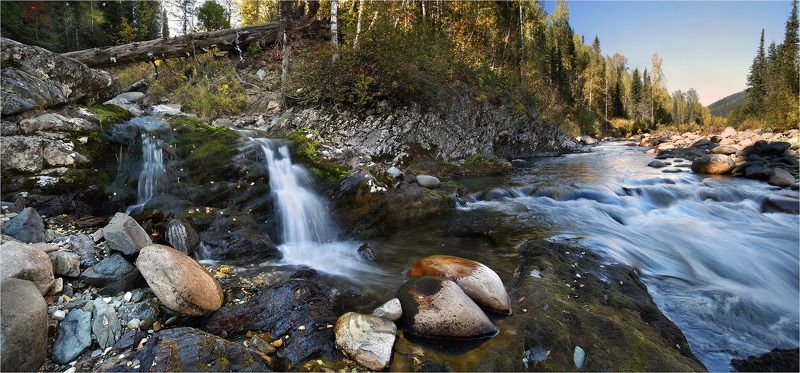 поднебесные, зубья photo preview