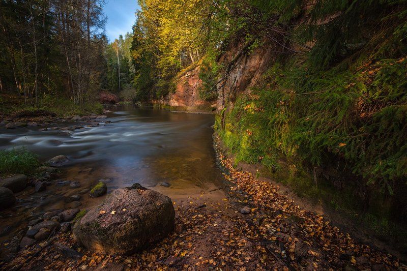 К берегу прибило осеньphoto preview