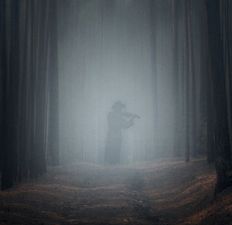 Spirit of the forestphoto preview