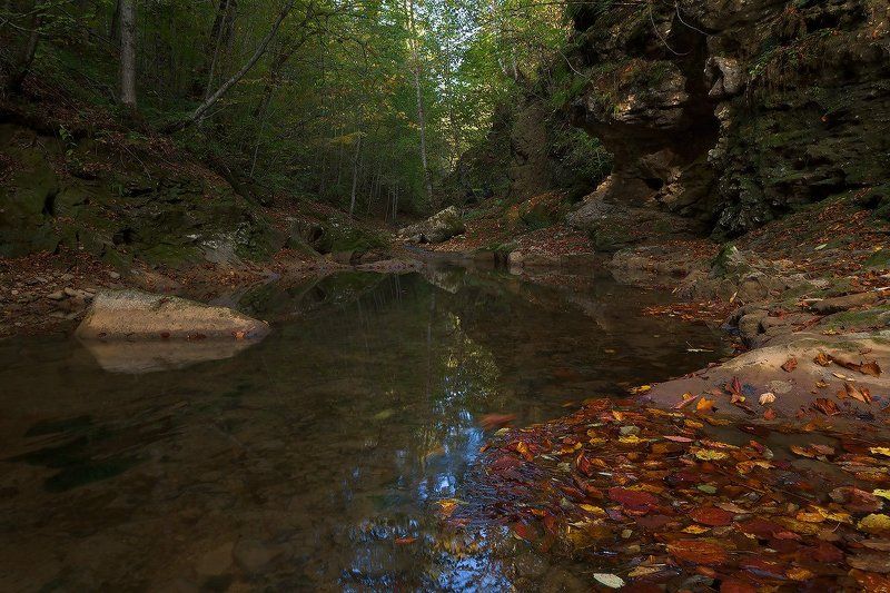 Осенняя тоскаphoto preview