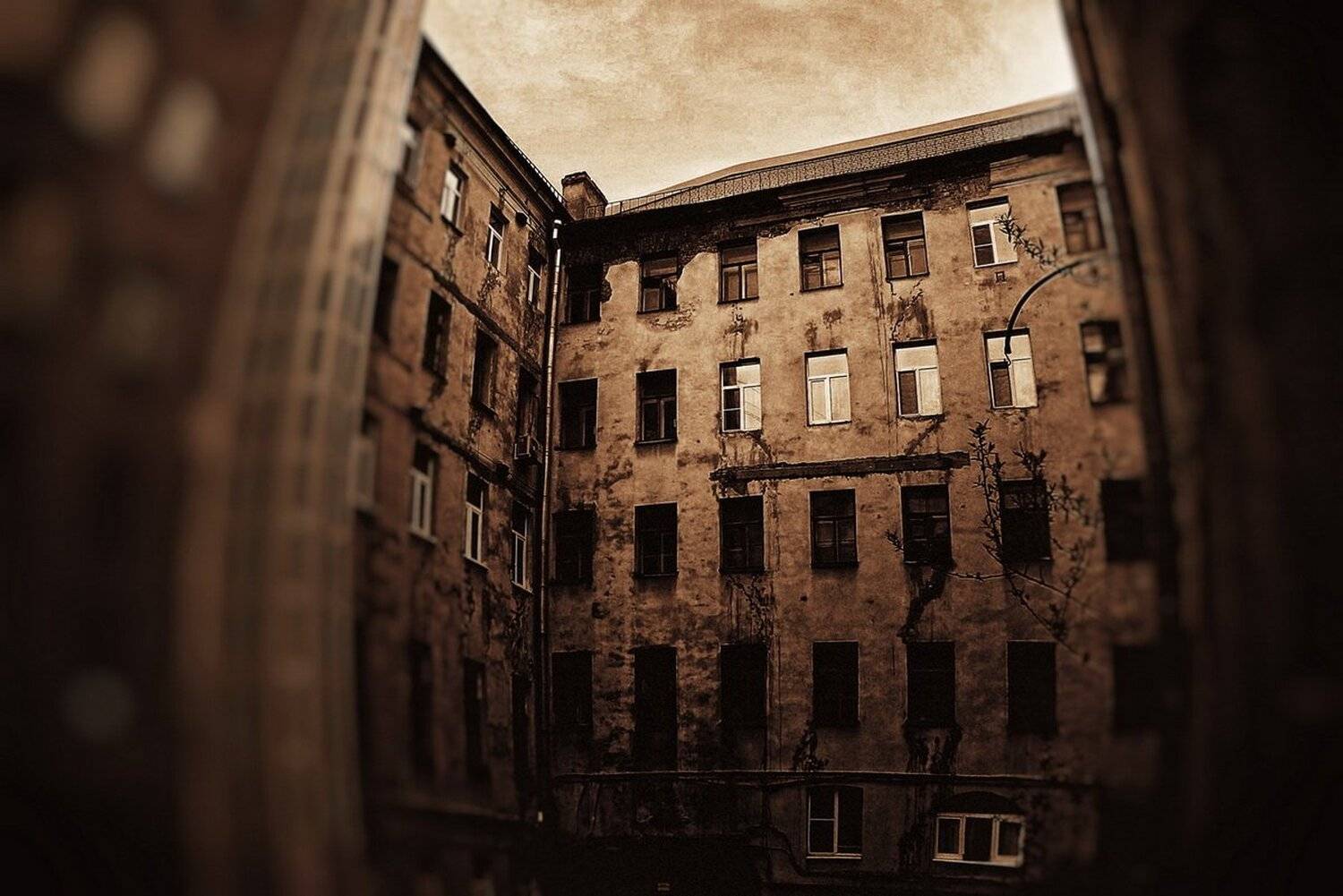 Автор: Лубенец Виктор , Лубенец Виктор