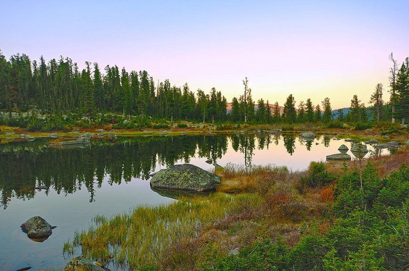 Озеро мишек,любящих сгущенку.photo preview
