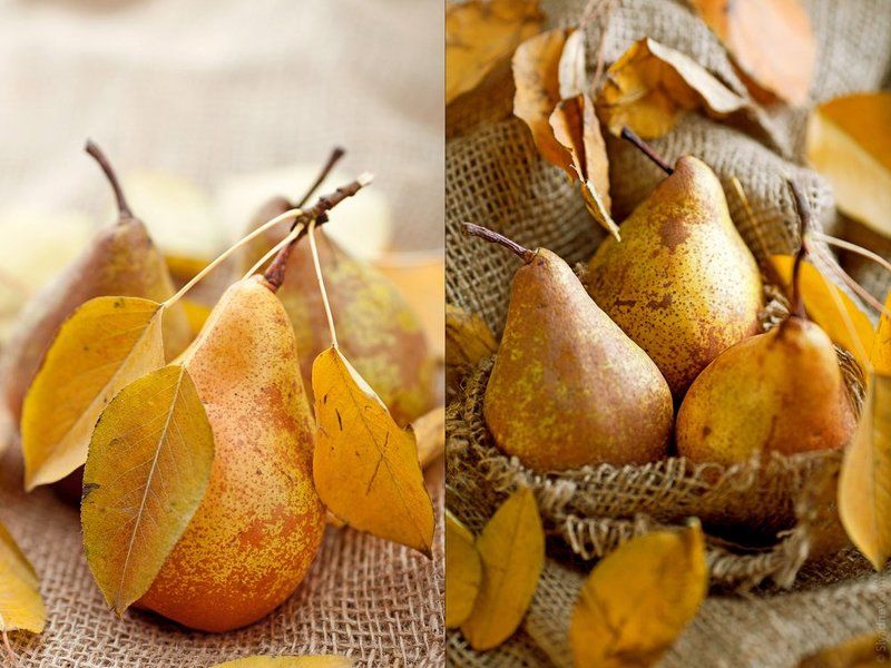 Дыхание осениphoto preview