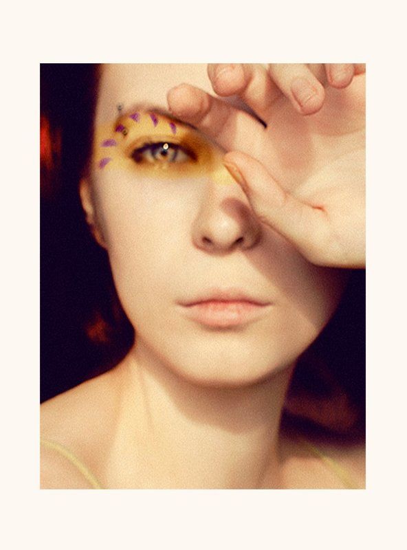 Dendroicaphoto preview